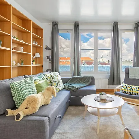 Parisian Penthouse With Large Terrasse Apartment *